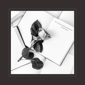 91九色精品国产一区二区无码
