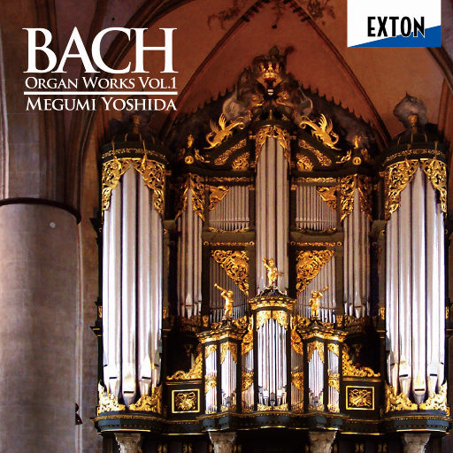 91九色精品国产一区二区无码
